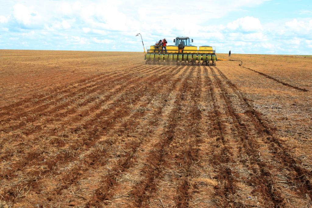 Importação de adubos e fertilizantes por produtores de Mato Grosso cresce 10%