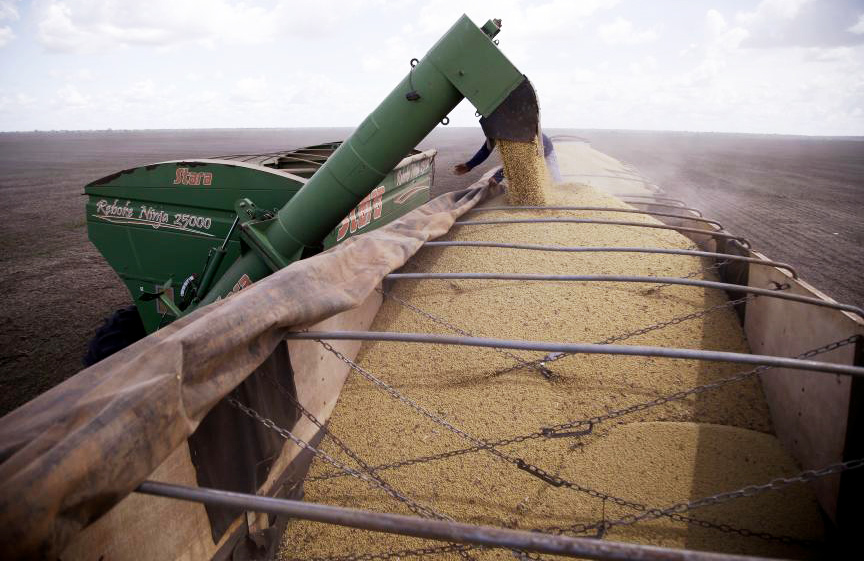 Colheita da soja começa em várias regiões de Mato Grosso; atraso de 12 pontos percentuais