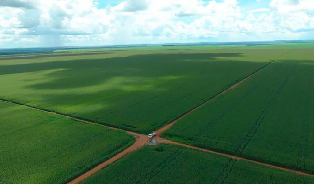 Produtores rurais de MT são destaque nacional por darem “exemplo de respeito ao meio ambiente”