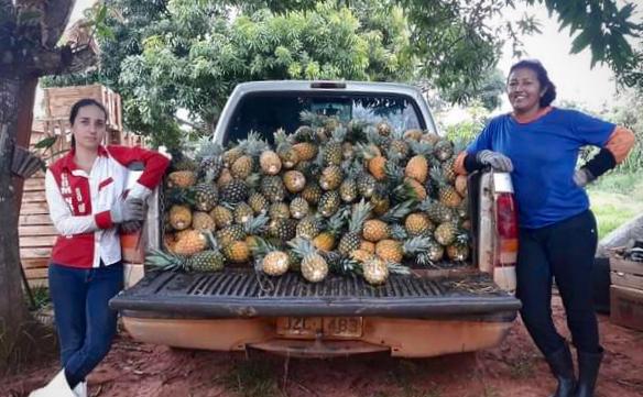 Manual de Boas Práticas elaborado pela Empaer amplia mercado para produtora de polpa de fruta