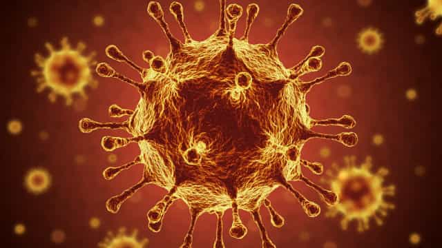 Estudo constata infecção simultânea por duas linhagens do coronavírus