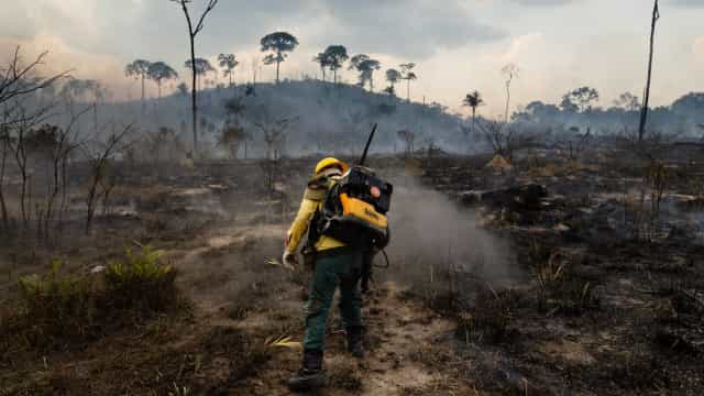 Cerca de 40% do Pantanal mato-grossense queimou em 2020