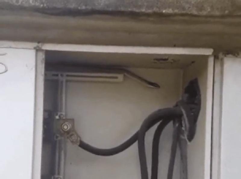 Funcionário da Energisa leva susto ao encontrar cobra em medidor durante medição