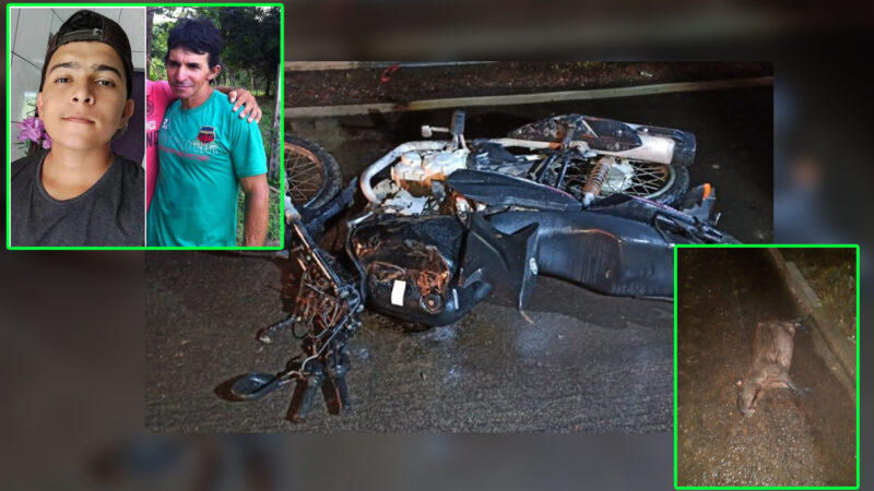 Pai e filho morrem após acidente entre moto e capivara na MT-208