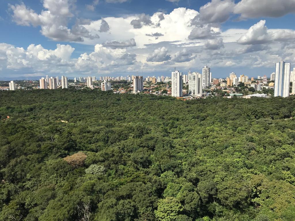 Parque Mãe Bonifácia segue aberto para população acessar trilhas e exposição