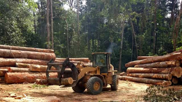 Desmatamento na Amazônia Legal tem aumento de 21,97% em 2021