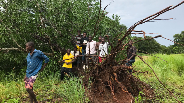 Ciclone deixa isoladas mais de nove mil pessoas no centro de Moçambique