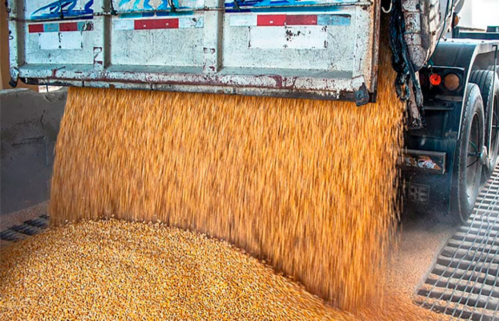 Preço da soja disponível em Mato Grosso vai e média vai a R$ 127