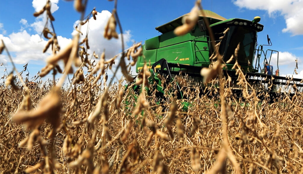 Mato Grosso é responsável por um terço da produção da safra de grãos brasileira
