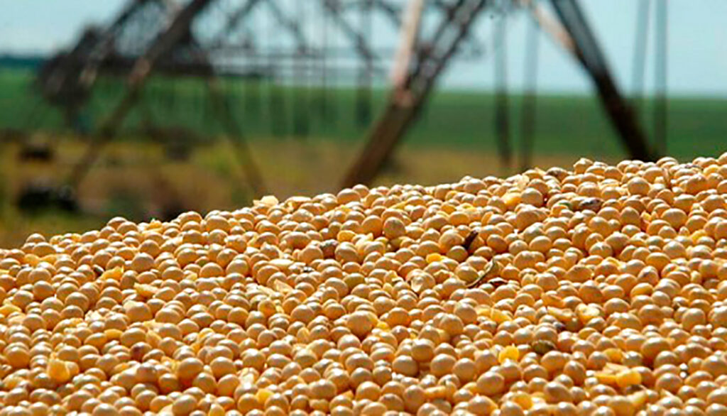Cotação da soja disponível em Mato Grosso cai 5% e milho 2,7%