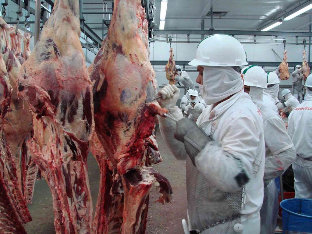 Frigoríficos de Mato Grosso aumentam 16% abate de gado