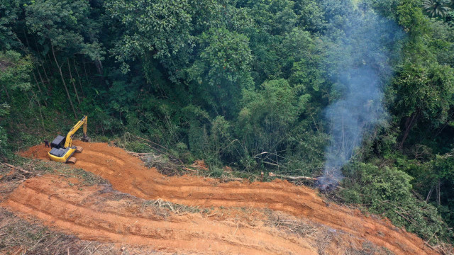 Mato Grosso tem queda de 71% nos alertas de desmatamento da Amazônia em abril