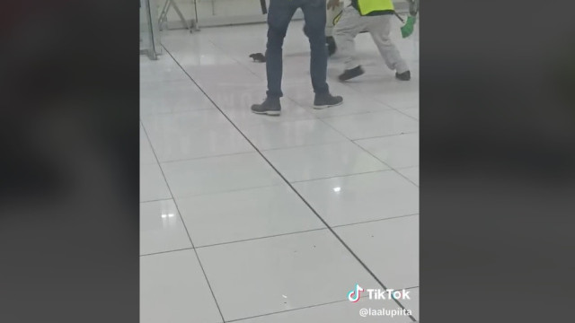 Vídeo mostra perseguição a rato em aeroporto do México