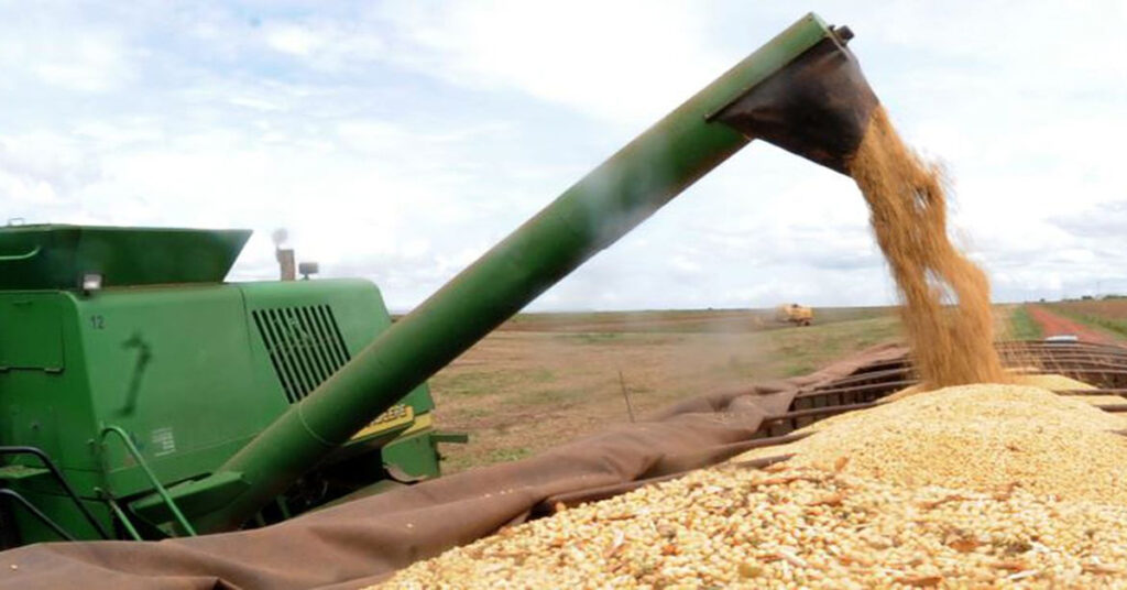 Exportações do trigo atingiram recorde no primeiro semestre do ano