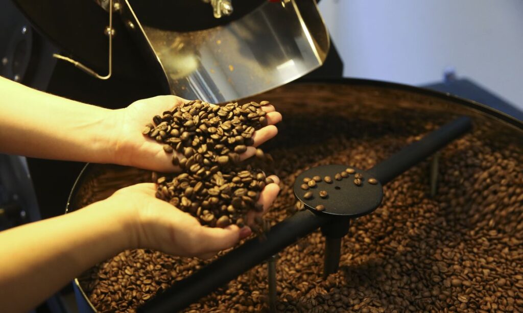 Preços do café arábica e robusta caíram